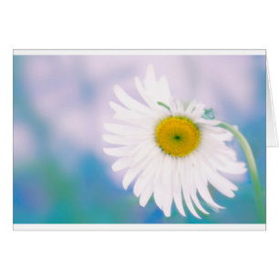Krokig daisy hälsningskort