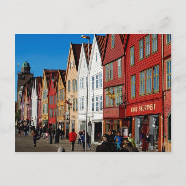 Krokig träskattvykort vykort (Framsida)