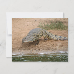 Krokodil