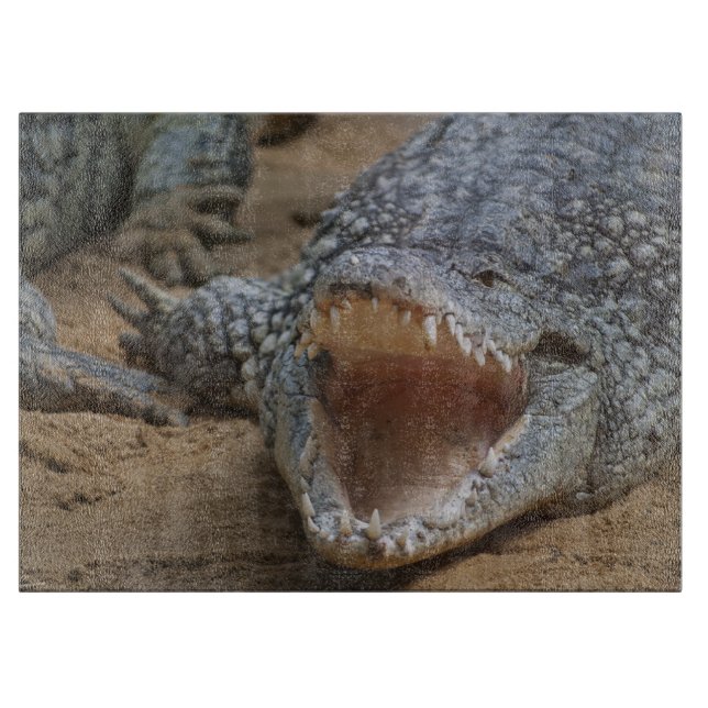 Krokodil (Framsidan)