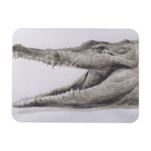 Krokodil 2005 magnet
