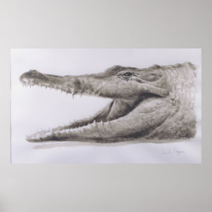 Krokodil 2005 poster