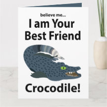 Krokodil Alligator Rolig Krokodil