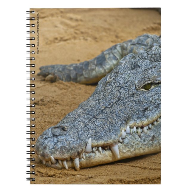 Krokodil Anteckningsbok (Framsidan)