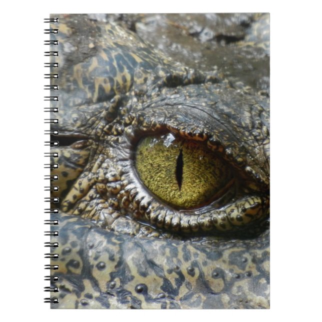 krokodil  anteckningsbok (Framsidan)