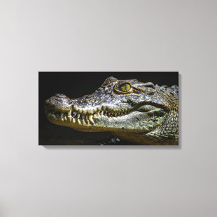 Krokodil Canvastryck