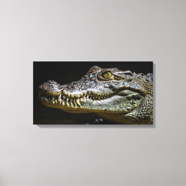 Krokodil Canvastryck (Framsida)