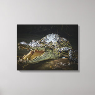 Krokodil Canvastryck