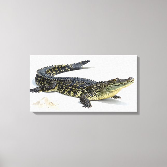 Krokodil Canvastryck (Framsida)
