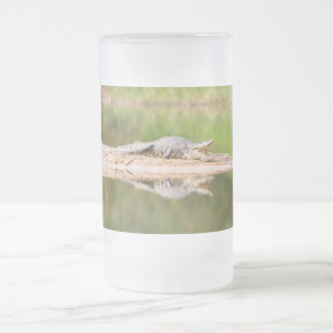 Krokodil Frostat Ölglas