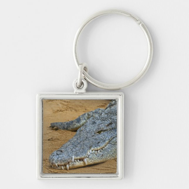 Krokodil Fyrkantig Silverfärgad Nyckelring (Framsidan)