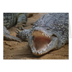 Krokodil Hälsningskort
