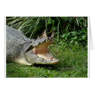 Krokodil Hälsningskort