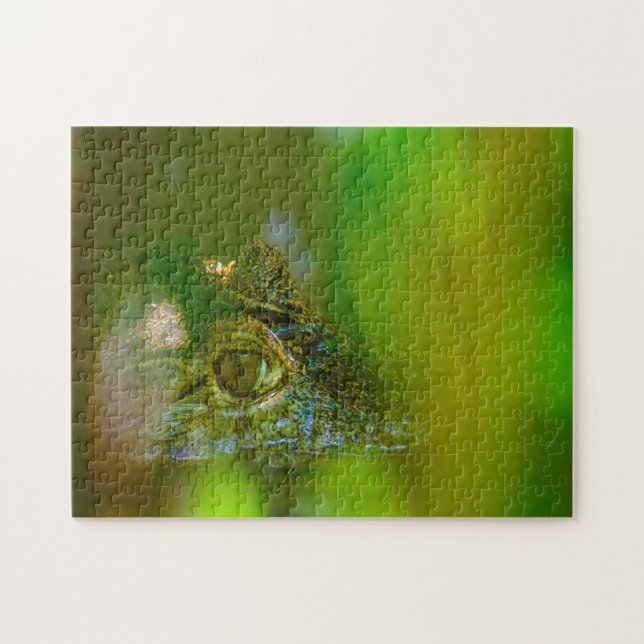 Krokodil i Guyana. Pussel (Horisontell)