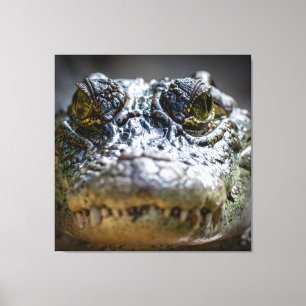 krokodil i vatten canvastryck