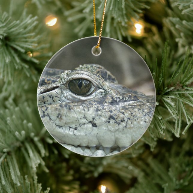 Krokodil Leende Ornament (Träd)