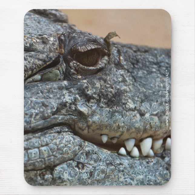 Krokodil Musmatta (Framsidan)