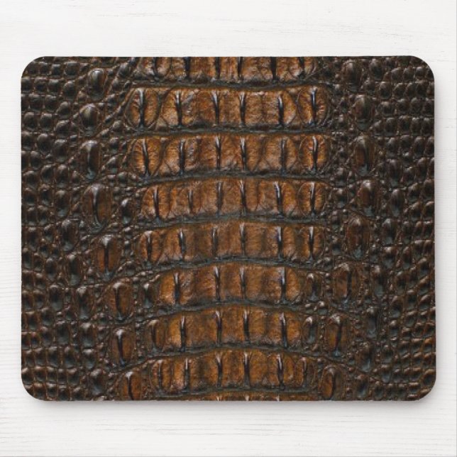 Krokodil Musmatta (Framsidan)