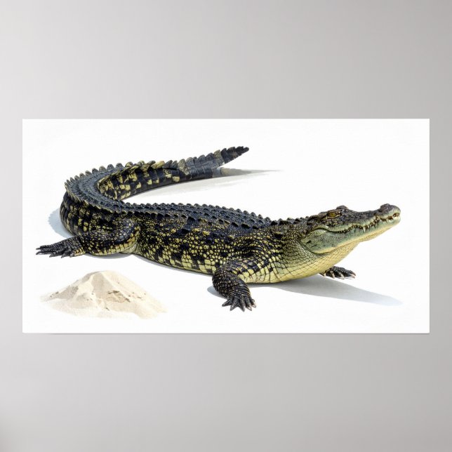 Krokodil Poster (Framsidan)