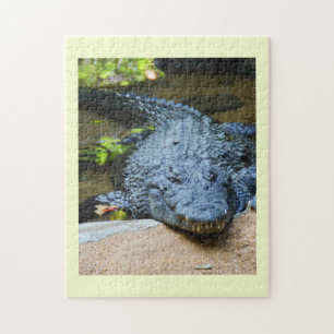Krokodil Pussel