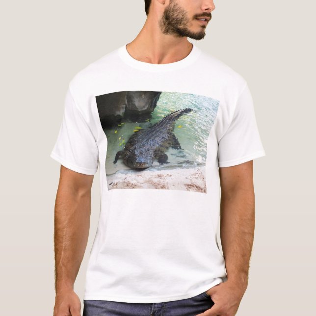 Krokodil Tröja (Framsida)