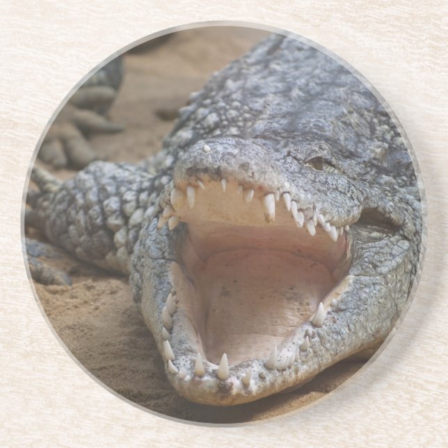 Krokodil Underlägg (Framsidan)