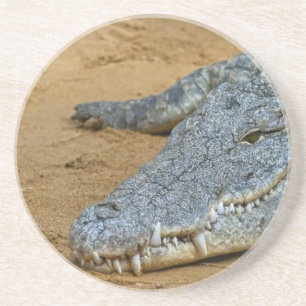 Krokodil Underlägg