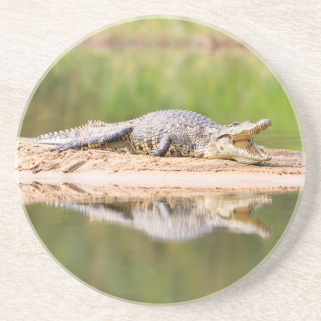 Krokodil Underlägg (Framsidan)