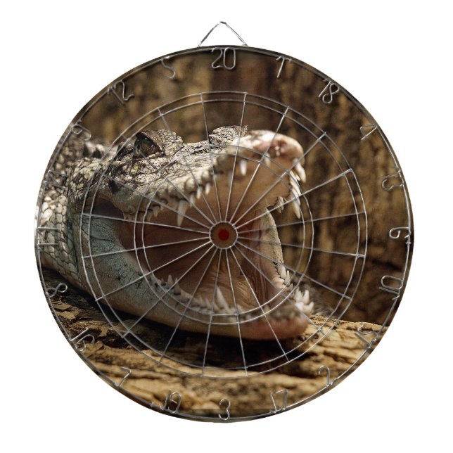 Krokodile Alligator Reptile Wildlife Dart Board Piltavla (Framsidan)