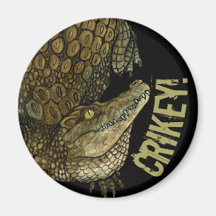 Krokodile Crikey! Magnet