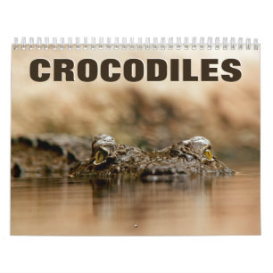 Krokodiler 2022 Väggskalender Kalender
