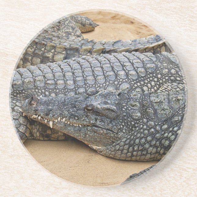 Krokodiler Underlägg Sandsten (Framsidan)