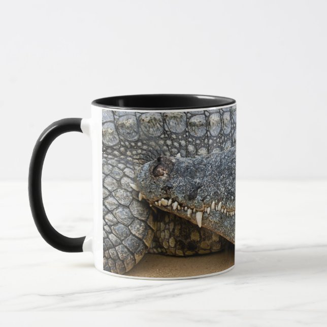 Krokodilers Mugg (Vänster)