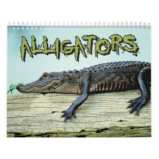 Krokodilerväggkalender Kalender (Omslag)