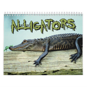 Krokodilerväggkalender Kalender