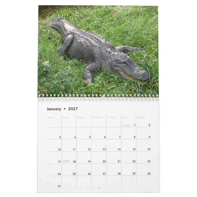 Krokodilerväggkalender Kalender (Jan 2027)
