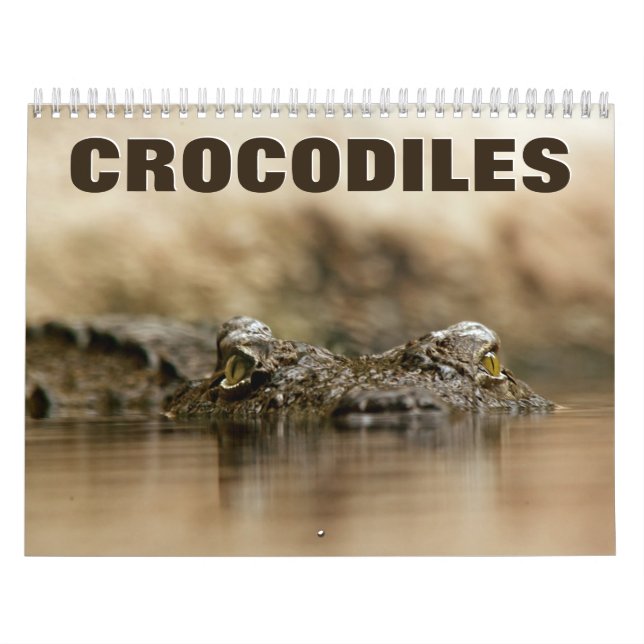Krokodiles Wall Calendar Kalender (Omslag)