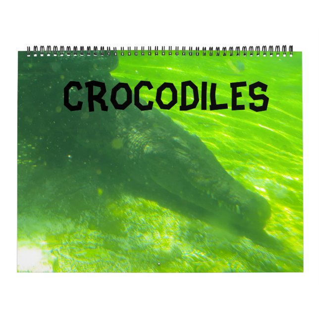 Krokodilkalender  kalender (Omslag)