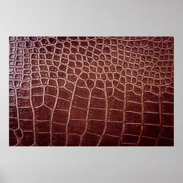 Krokodillädermönster,alligator,djur Poster (Framsidan)