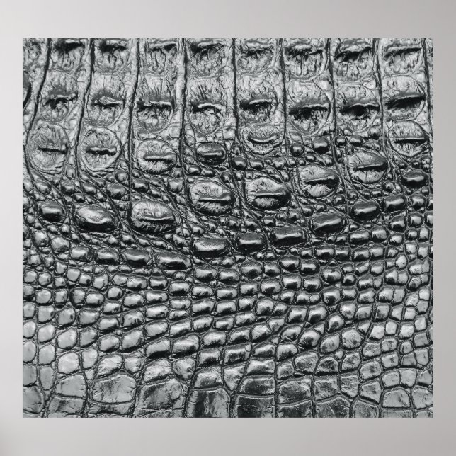 Krokodilneoir: Svart läder Mystique Poster (Framsidan)