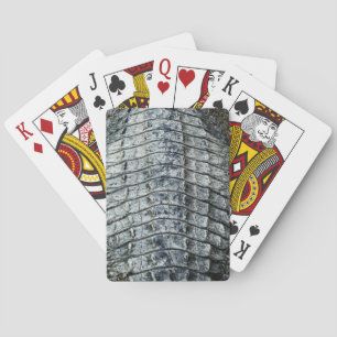 Krokodilskal Casinokort