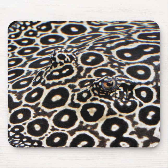 Krokodilstingrayの マ ウ ス パ ッ musmatta (Framsidan)