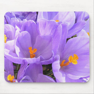 Krokus Mousepad Musmatta
