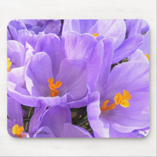 Krokus Mousepad Musmatta