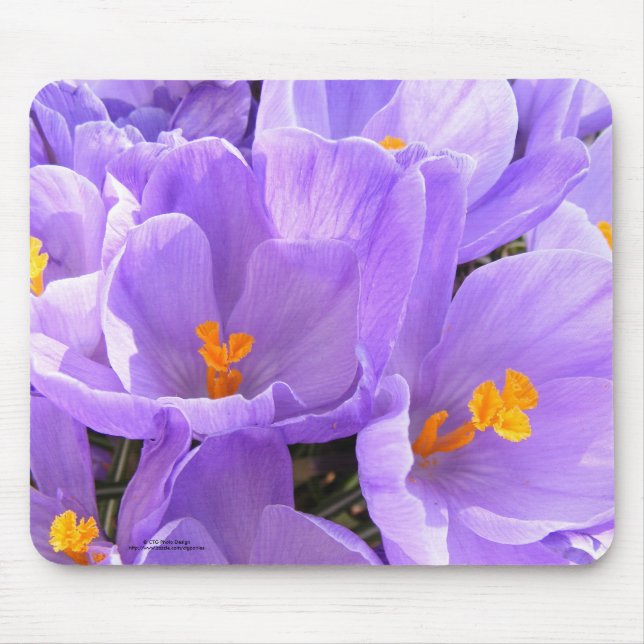 Krokus Mousepad Musmatta (Framsidan)