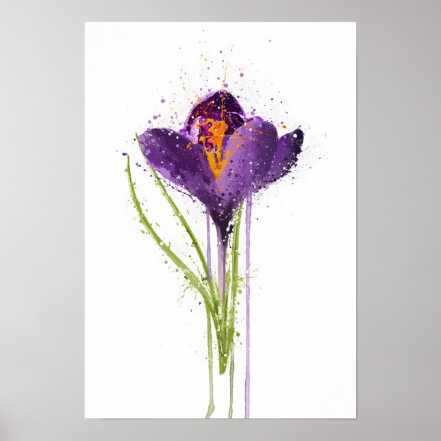 Krokus Poster (Framsidan)
