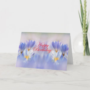 Krokusar Blommor Kort