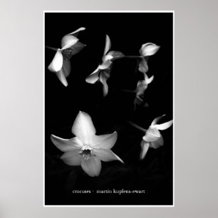 Krokusar Poster