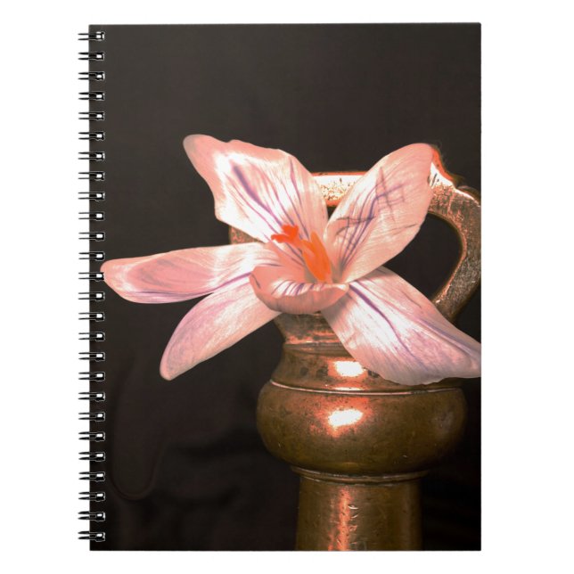 Krokusblommor Anteckningsbok Med Spiral (Framsidan)