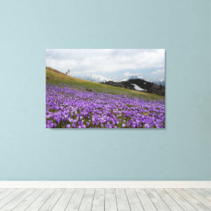 Krokusblommor vid Velika Planina, Slovenien Canvastryck